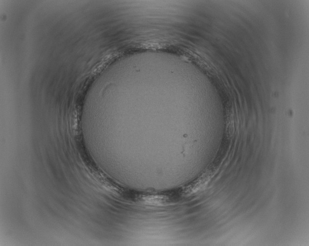 X0000062620268200601181702