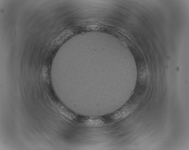 X0000062620270200601181702