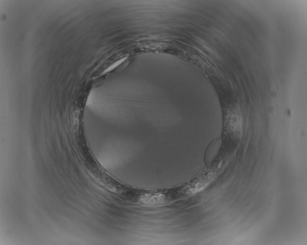 X0000062620271200601181702