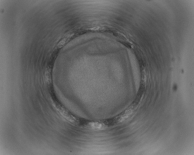 X0000062620272200601181702