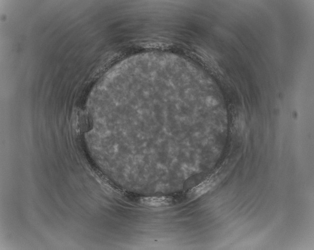 X0000062620273200601181702