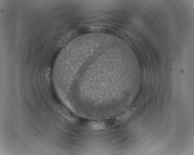 X0000062620275200601181702