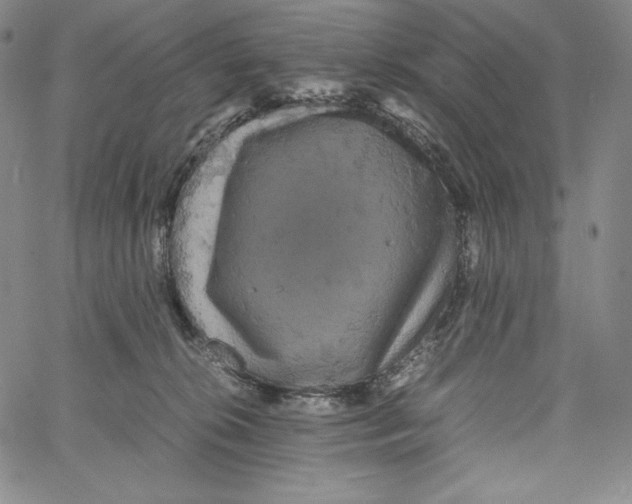 X0000062620276200601181702