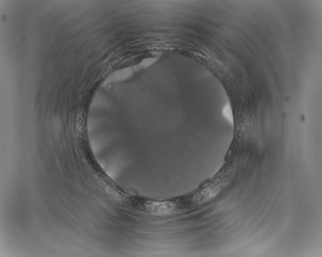 X0000062620277200601181702