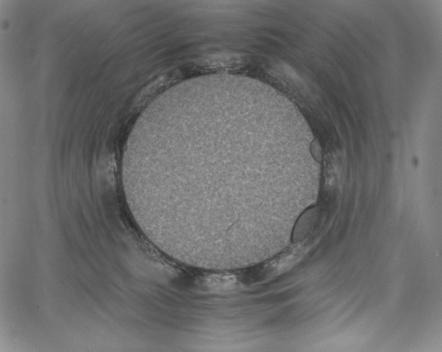 X0000062620279200601181702