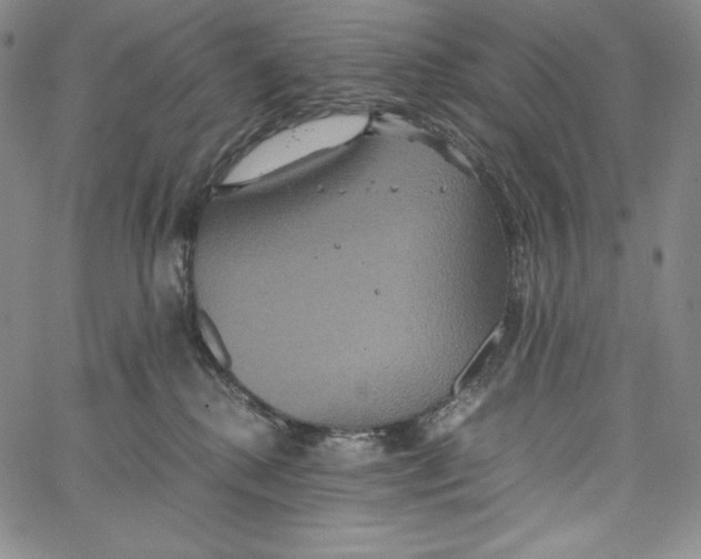 X0000062620280200601181702