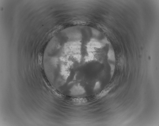 X0000062620281200601181702