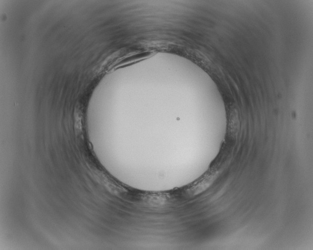 X0000062620282200601181702