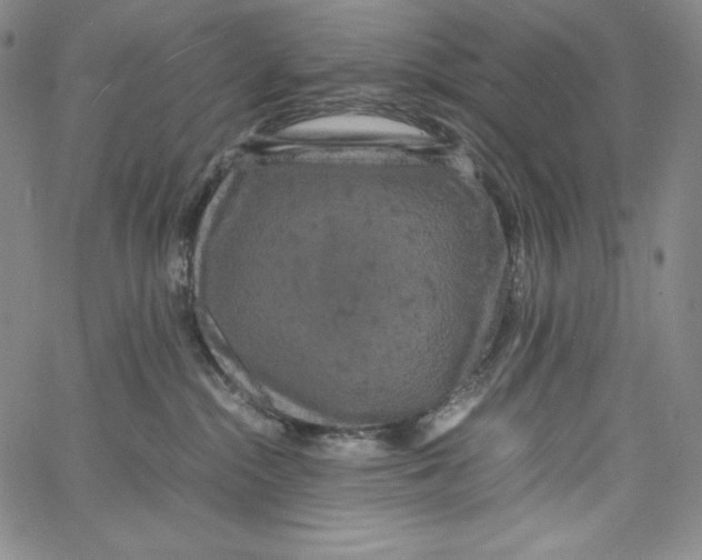 X0000062620284200601181702