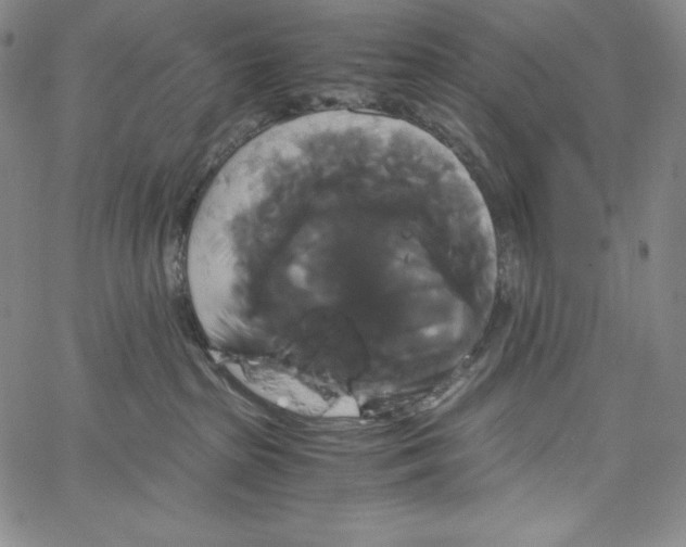 X0000062620285200601181702