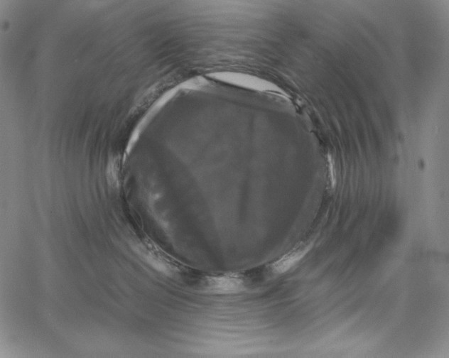 X0000062620286200601181702