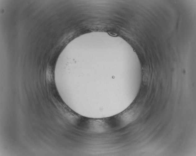 X0000062620287200601181702