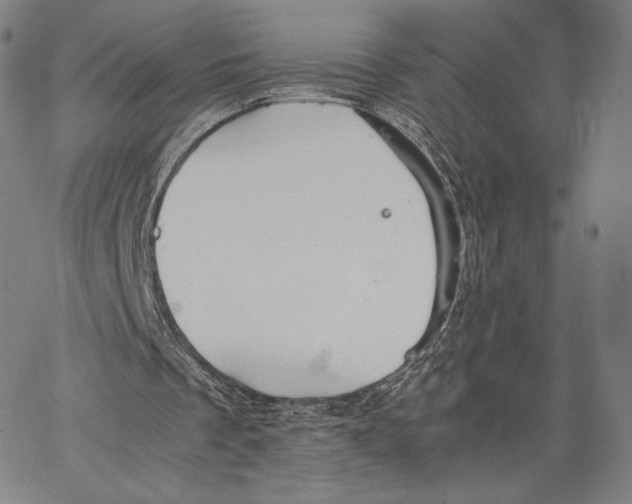 X0000062620289200601181701