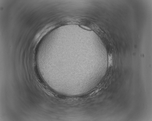 X0000062620291200601181701