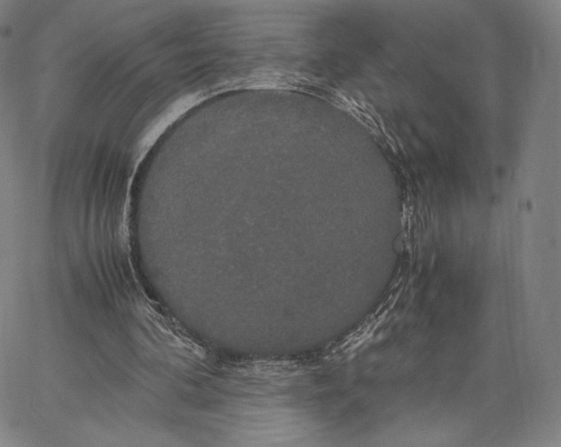 X0000062620292200601181701