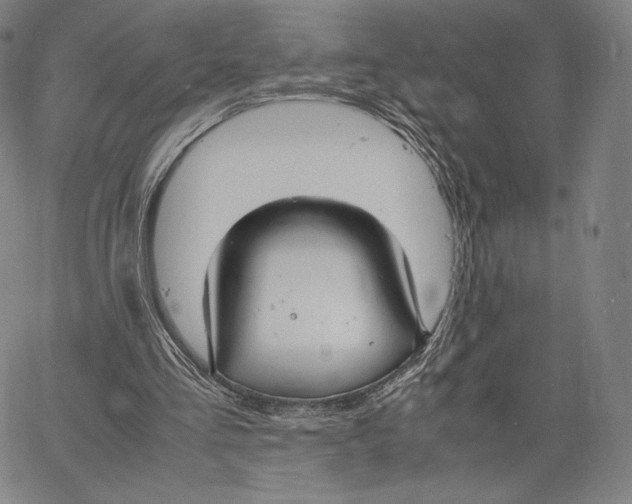 X0000062620293200601181701