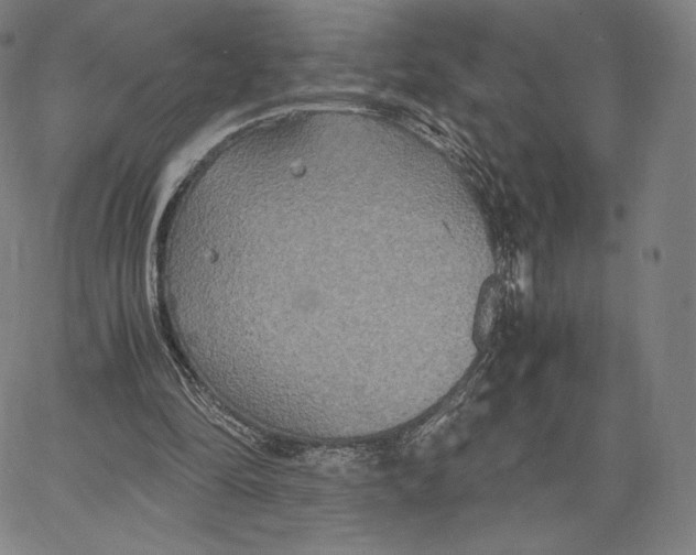 X0000062620294200601181701