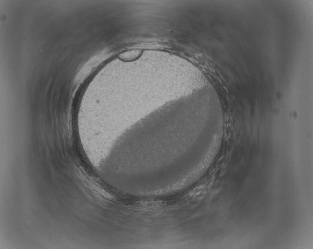 X0000062620296200601181701