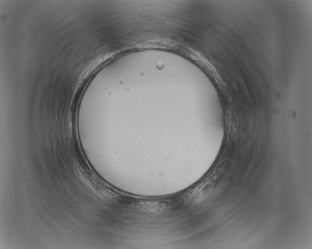 X0000062620298200601181701