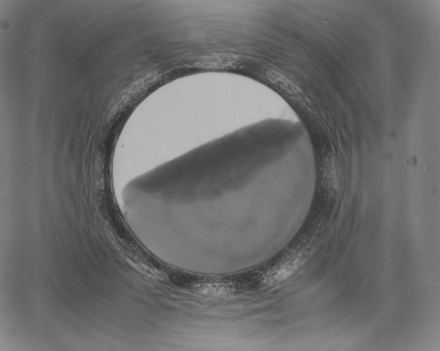 X0000062620303200601181701