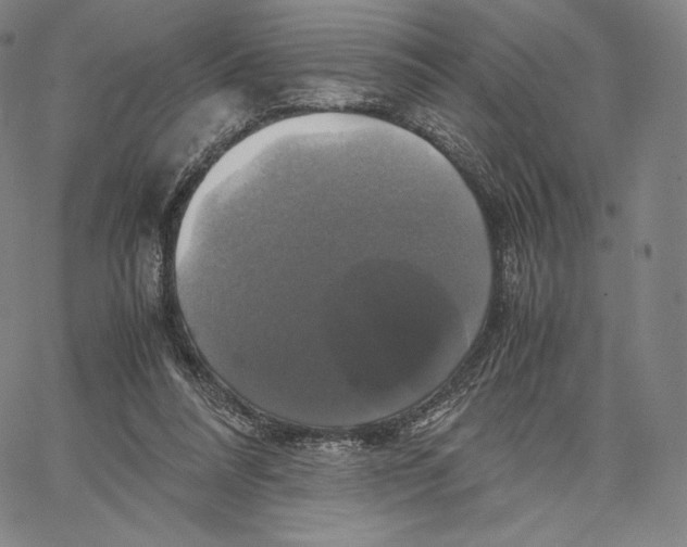 X0000062620304200601181701