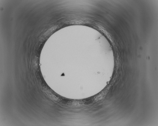 X0000062620305200601181701