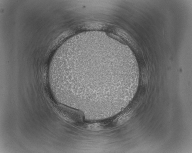 X0000062620309200601181701