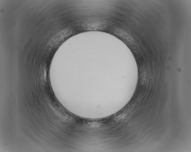 X0000062620310200601181701