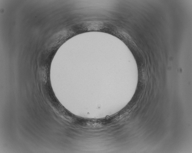 X0000062620311200601181701