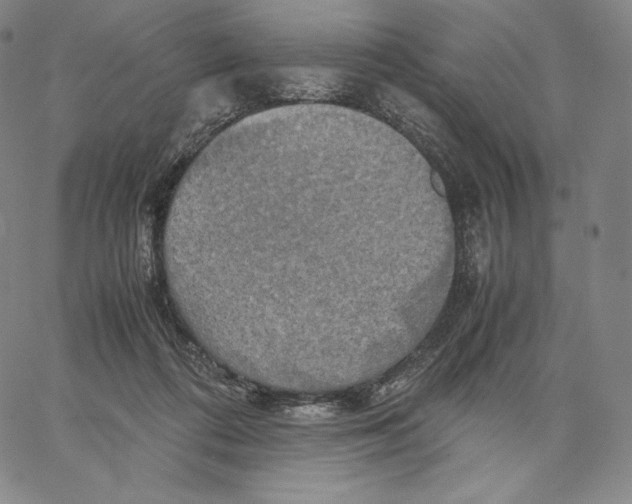 X0000062620312200601181701