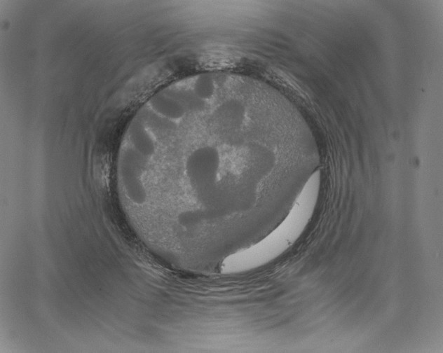 X0000062620315200601181701