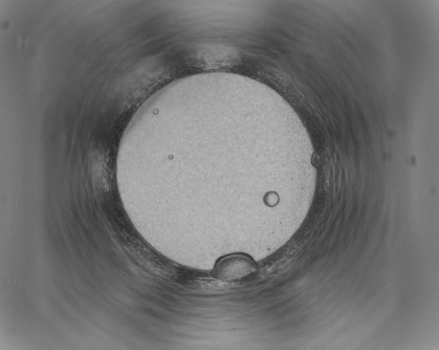 X0000062620316200601181701