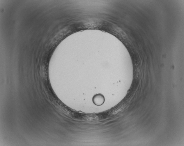 X0000062620317200601181701