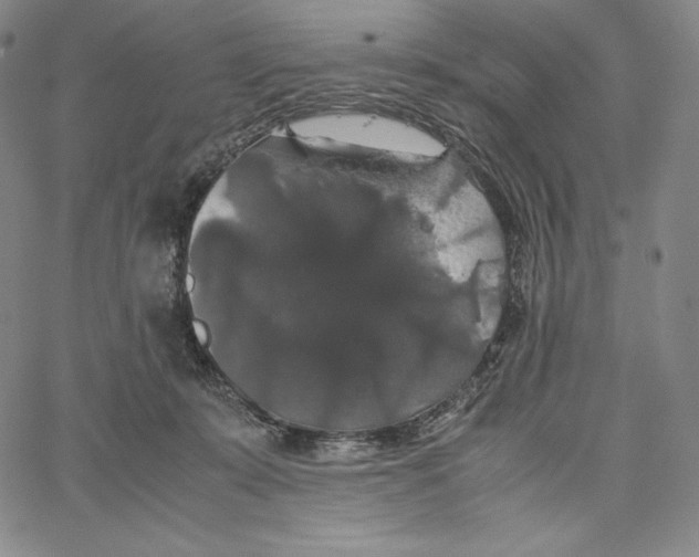 X0000062620319200601181701