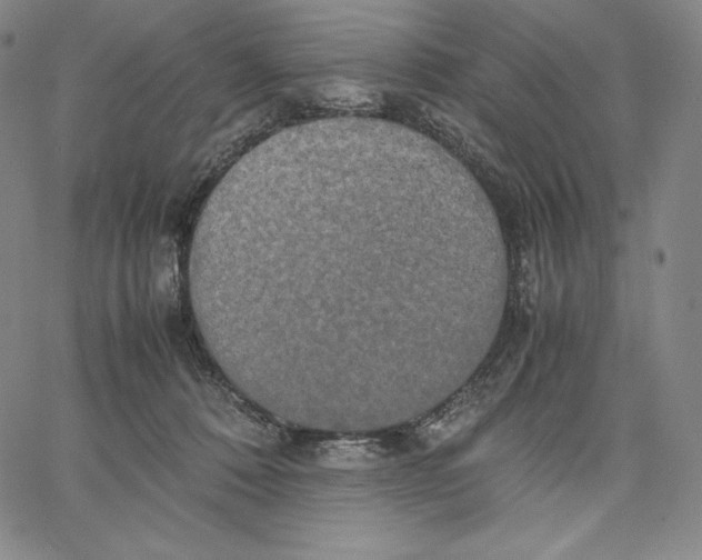 X0000062620320200601181701