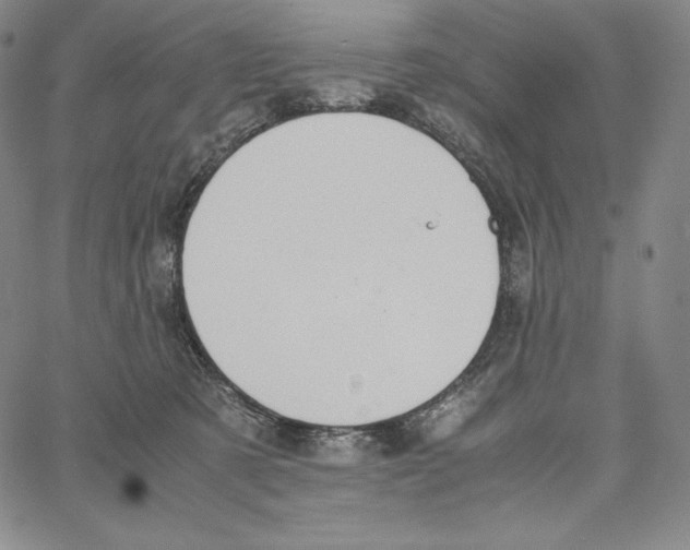 X0000062620321200601181701