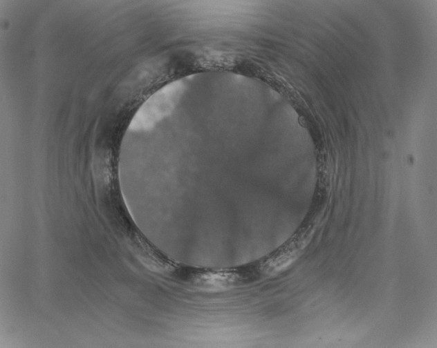 X0000062620323200601181701