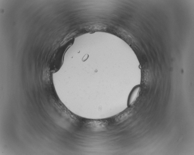 X0000062620326200601181701