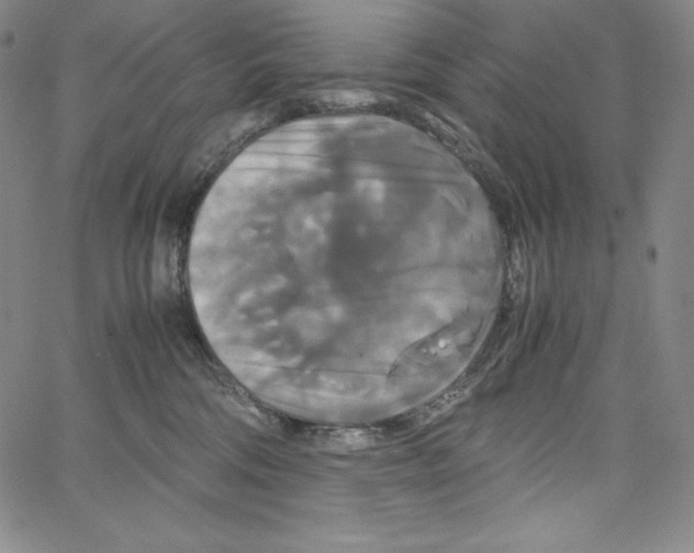 X0000062620330200601181701