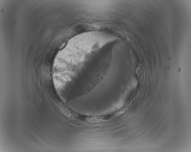 X0000062620331200601181701