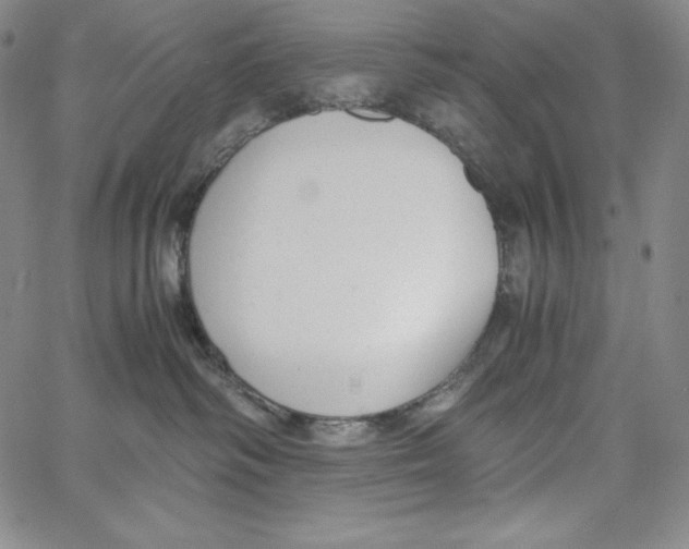 X0000062620334200601181701