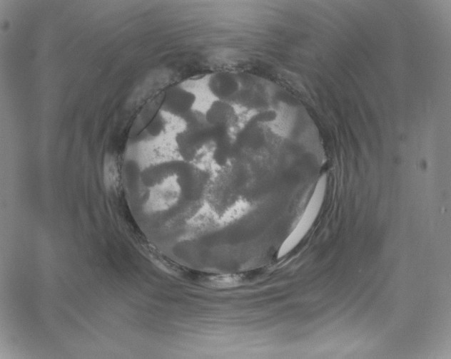 X0000062620335200601181701