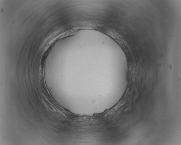 X0000062620338200601181700