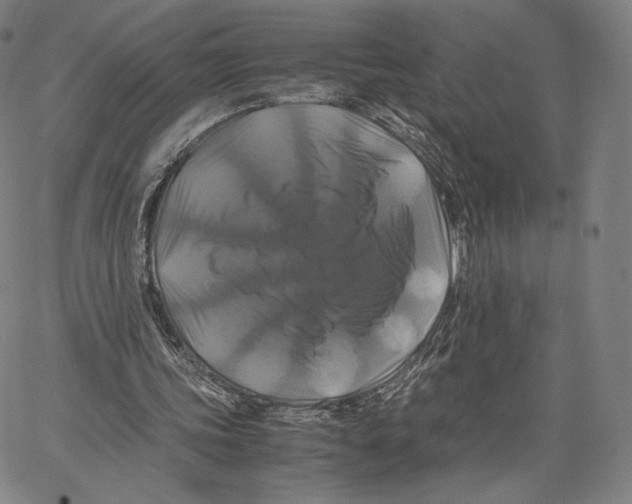 X0000062620339200601181700