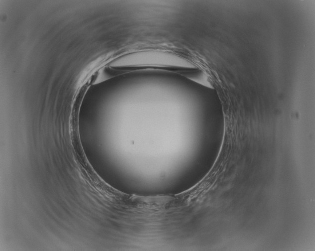 X0000062620340200601181700