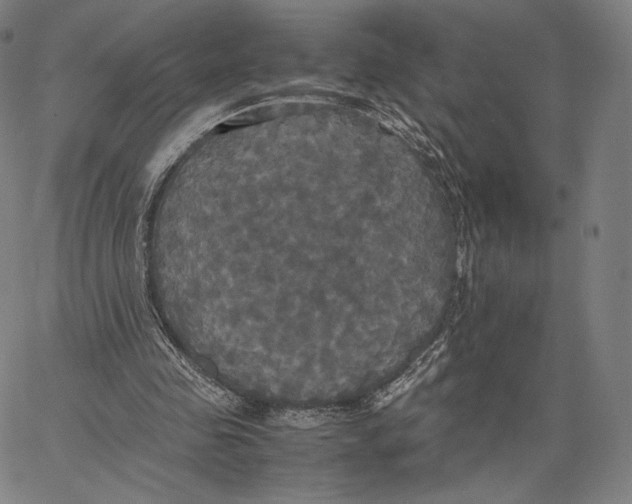 X0000062620341200601181700