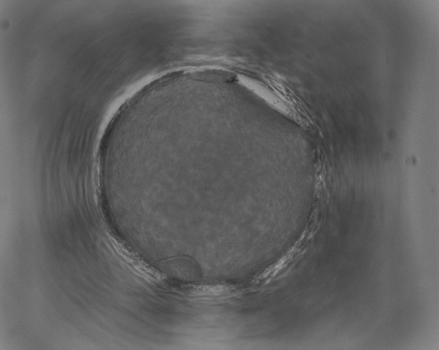 X0000062620342200601181700