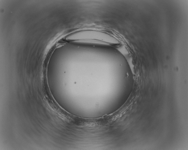 X0000062620344200601181700