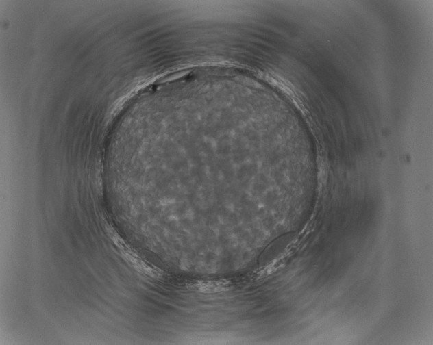 X0000062620345200601181700