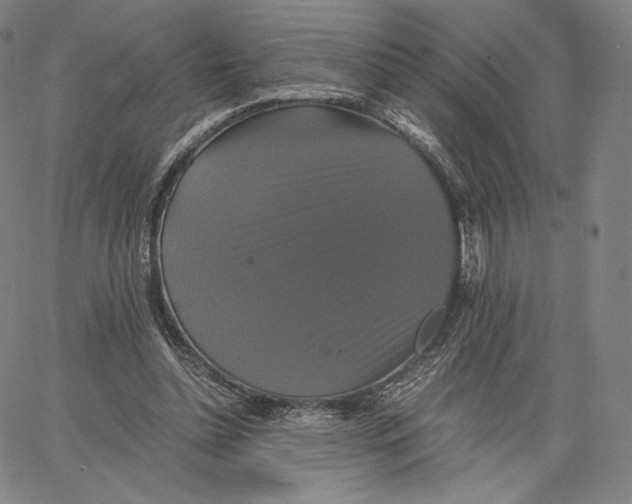 X0000062620348200601181700